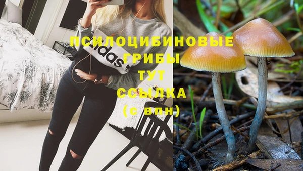 мяу мяу кристалл Новодвинск