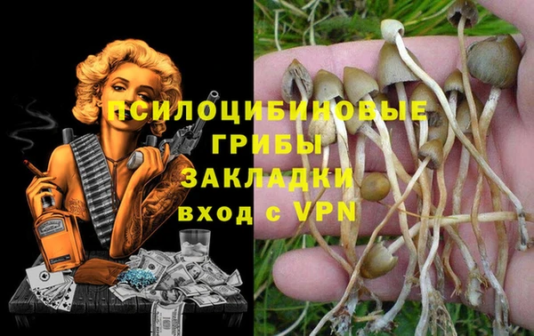 экстази Новозыбков