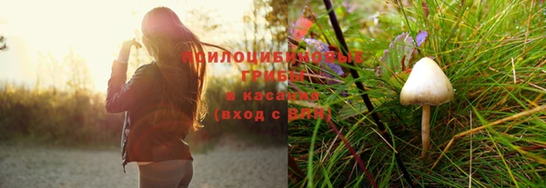 мяу мяу кристалл Новодвинск