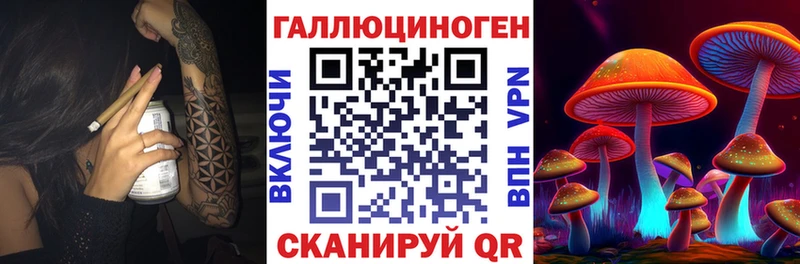 Галлюциногенные грибы Psilocybe  купить  сайты  Краснокамск 
