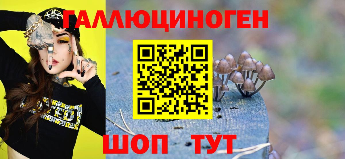 Галлюциногенные грибы мицелий Краснокамск